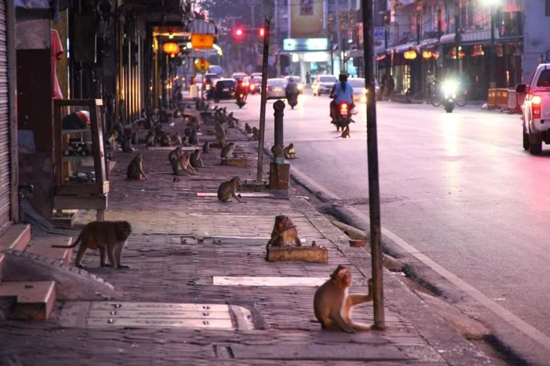 Pee Homestay Lopburi Ban Tha Krayang Buitenkant foto