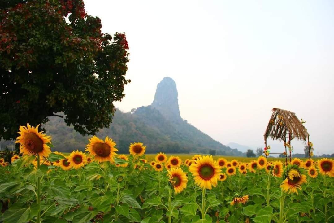 Pee Homestay Lopburi Ban Tha Krayang Buitenkant foto