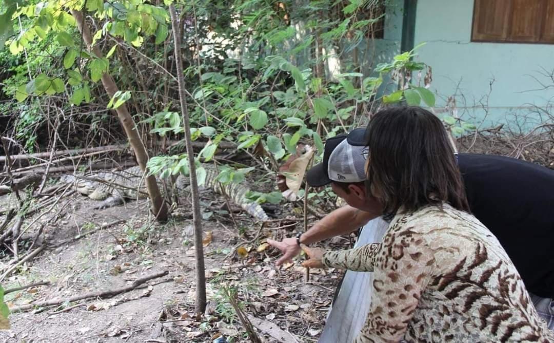 Pee Homestay Lopburi Ban Tha Krayang Buitenkant foto